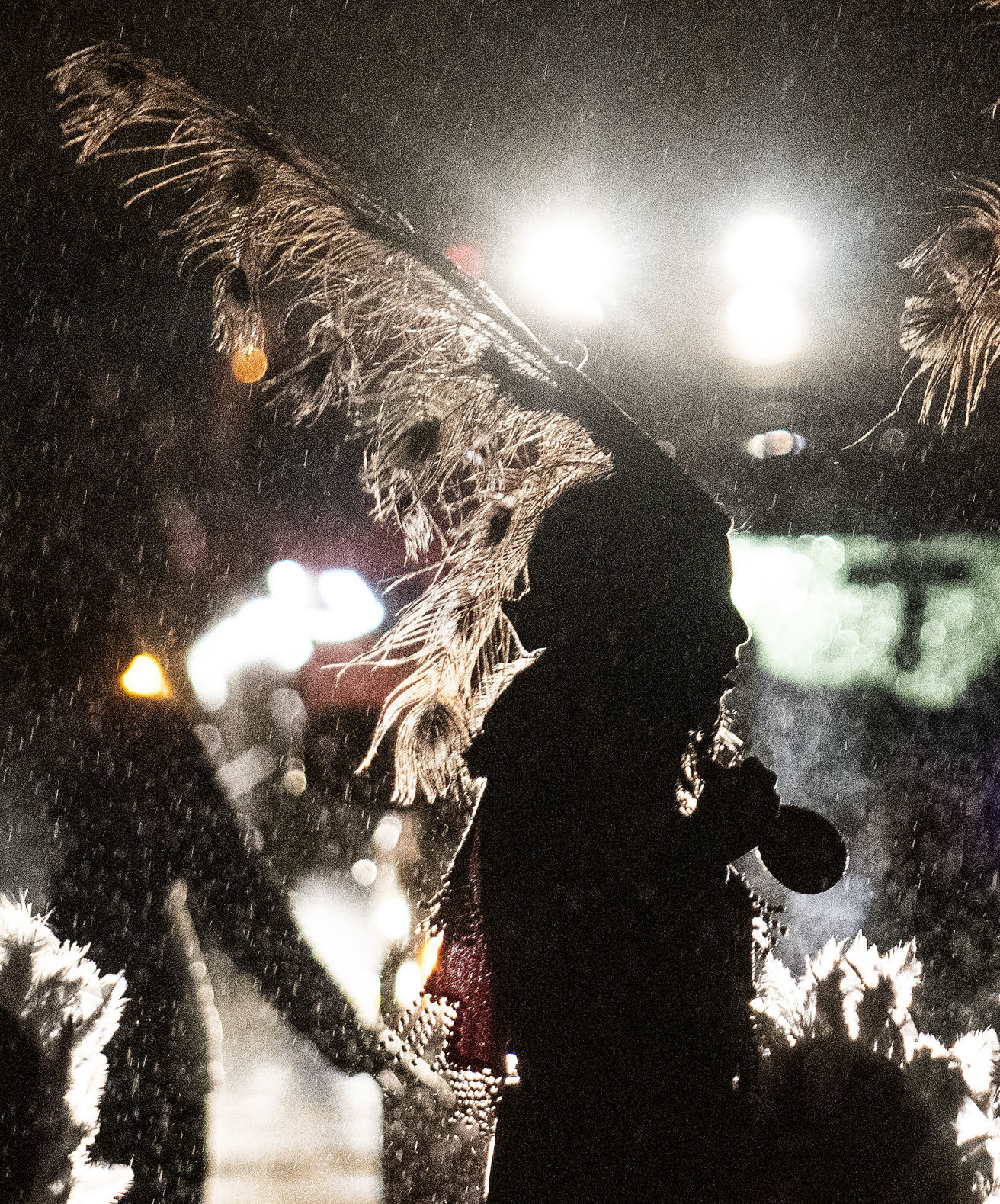 Feast of Guadalupe procession